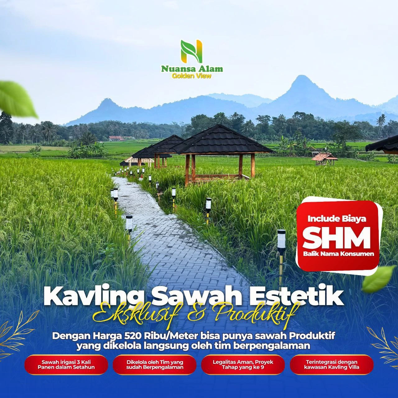 Sawah-Nuansa-Alam-Golden-View-6.webp
